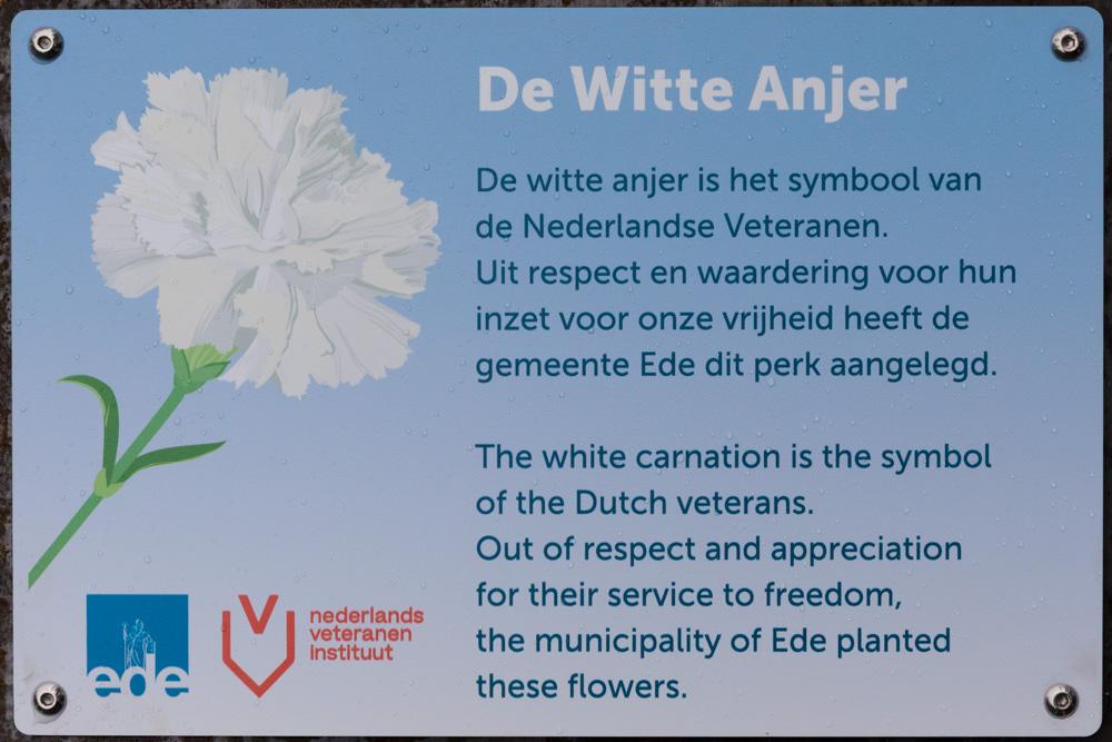 Carnation bed Ede #2