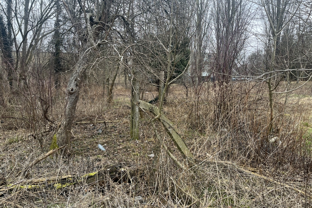 Voormalig Werkkamp Burgweide #3