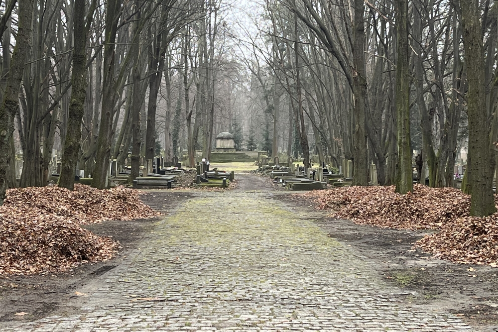 Jewish Cemetery Wroclaw #1