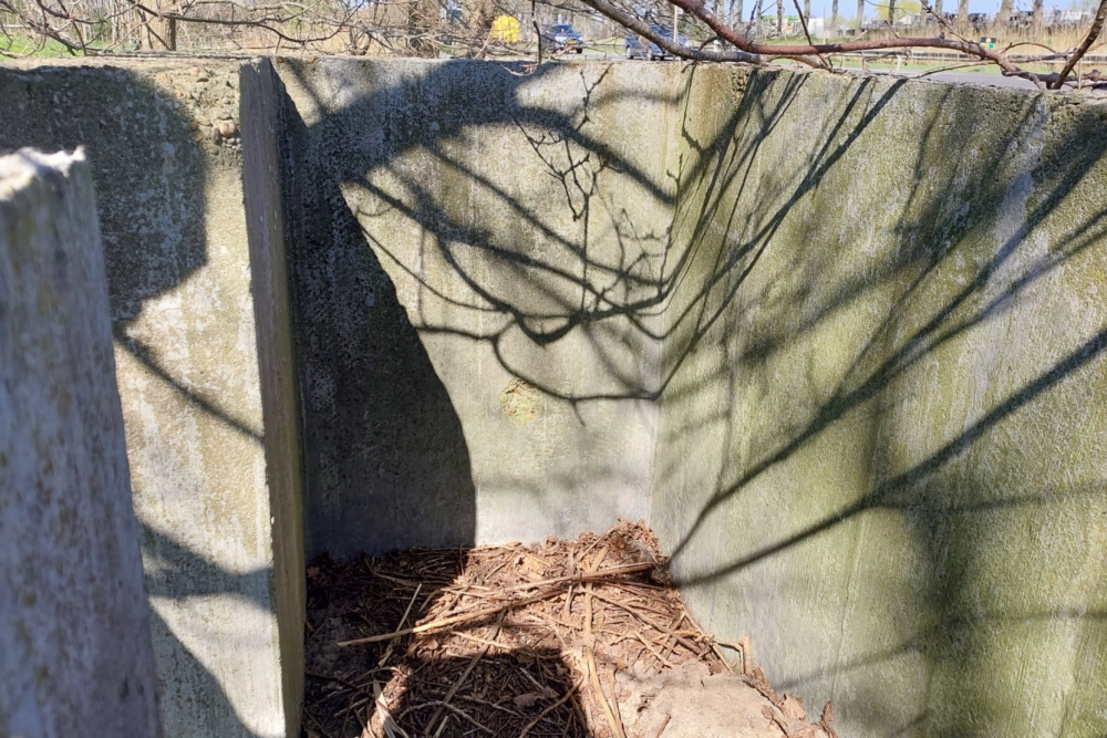 Peel-Raamstelling - Betonnen Schuttersputjes X1 en X2 #8