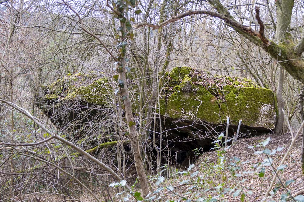 Westwall Bunker Nr.197 #1