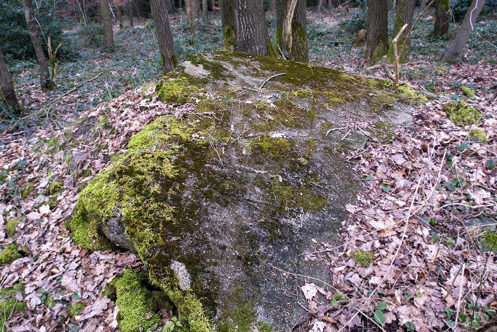 Restanten Westwall Bunker Nr.208 #2