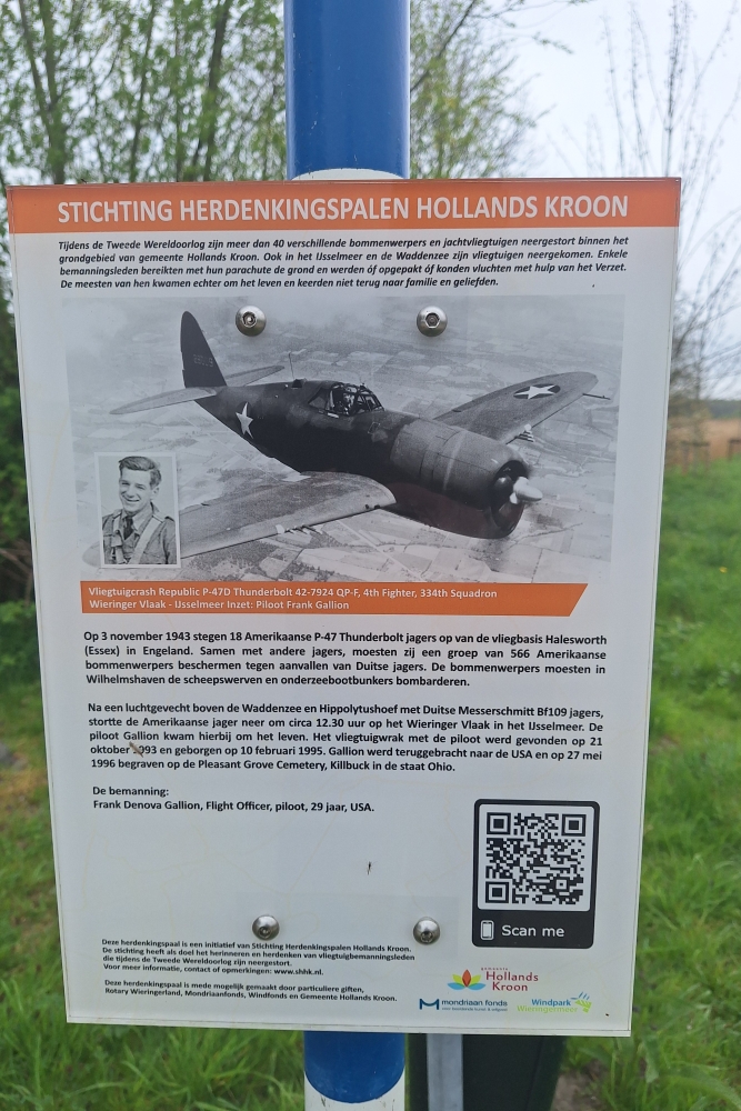 Crash Site P-47D Thunderbolt 42-7924 'QP-F' #5