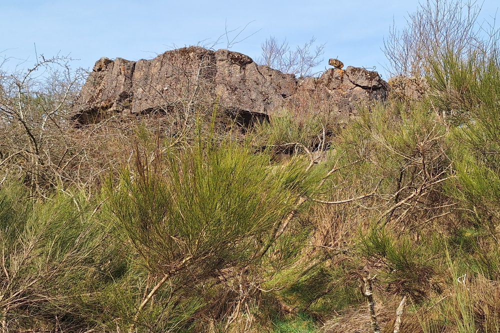 Igel position Vogelsang - Casemate Wollseifen