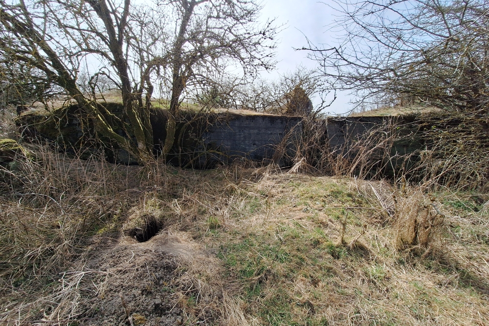 Igel position Vogelsang - Casemate Wollseifen #2