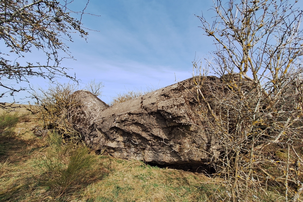 Igel position Vogelsang - Casemate Wollseifen #4