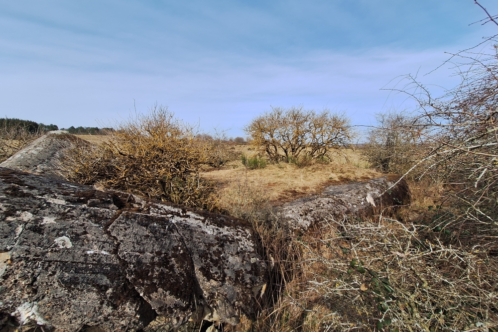 Igel position Vogelsang - Casemate Wollseifen #6