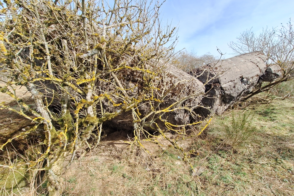 Igel position Vogelsang - Casemate Wollseifen #8