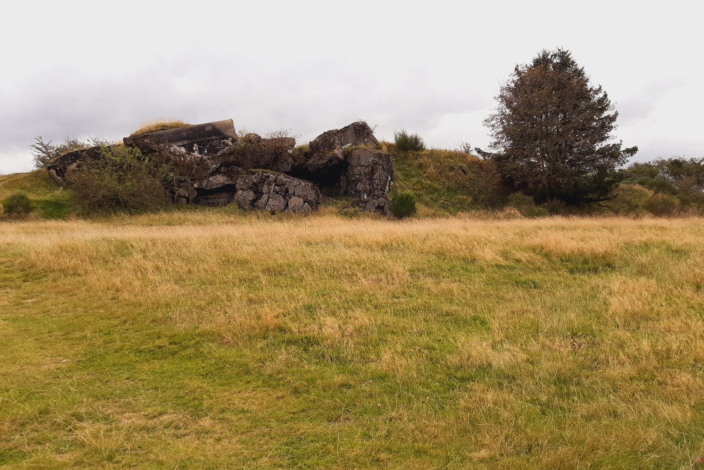 Igel position Vogelsang - Casemate Wollseifen