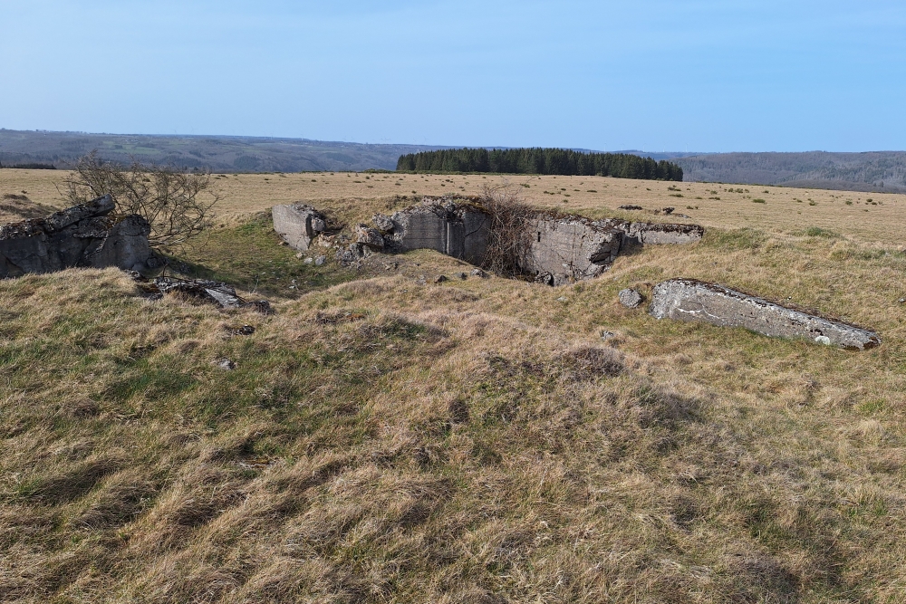 Igel position Vogelsang - Casemate Wollseifen
