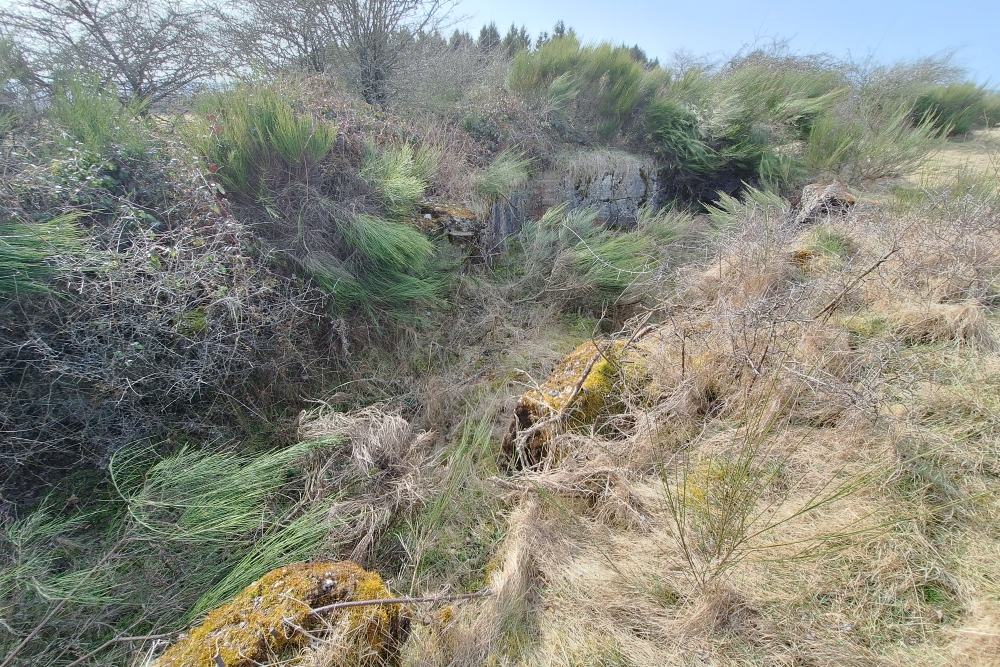 Igel position Vogelsang - Casemate Wollseifen