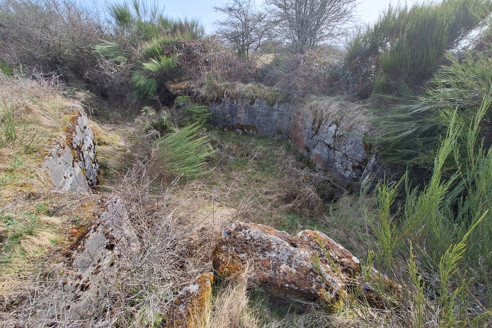 Igel position Vogelsang - Casemate Wollseifen