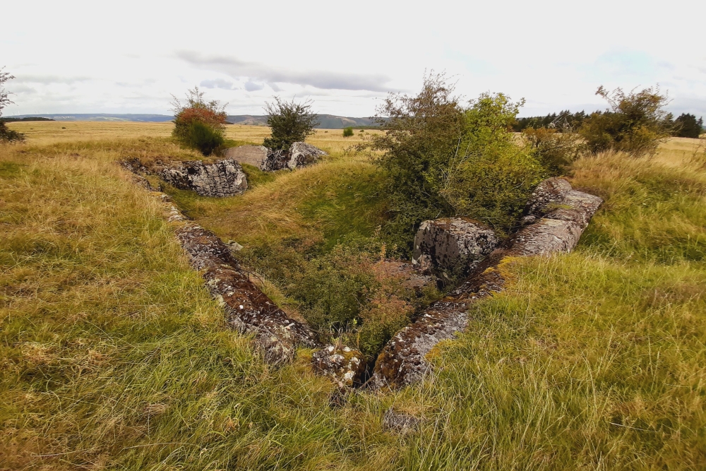 Igel position Vogelsang - Casemate Wollseifen #5