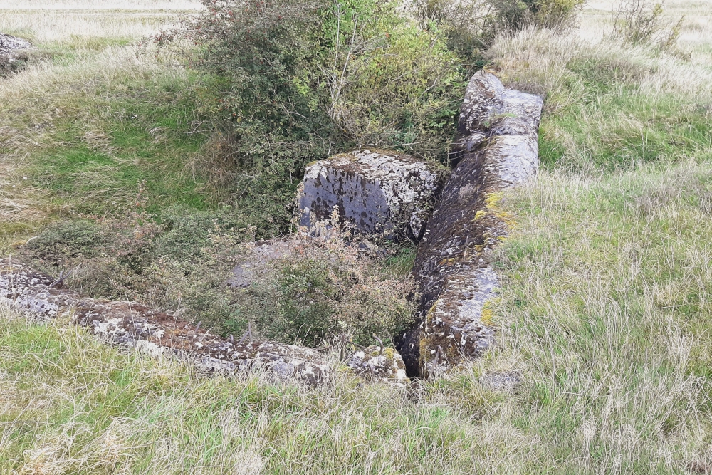 Igel position Vogelsang - Casemate Wollseifen #6