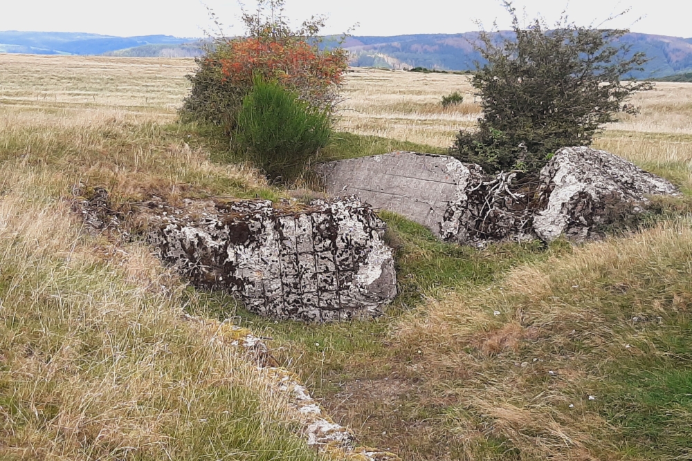 Igel position Vogelsang - Casemate Wollseifen #7