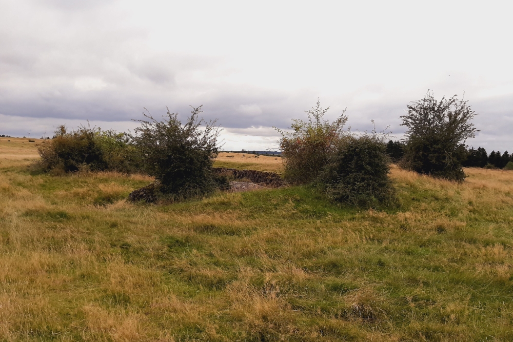 Igel position Vogelsang - Casemate Wollseifen #8
