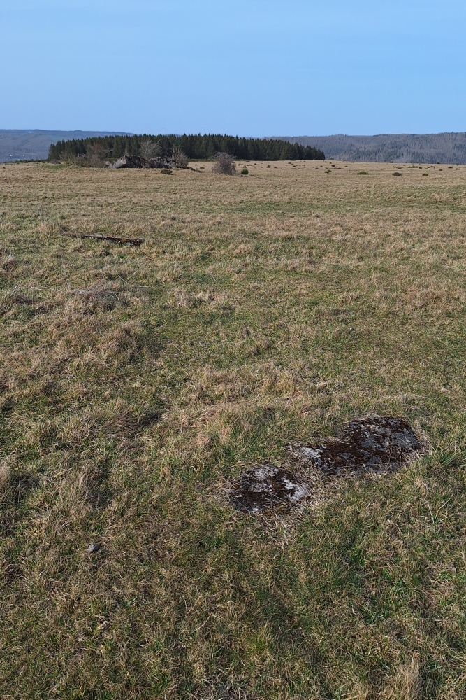Igel Stellung Vogelsang - Tobruk Wollseifen #2
