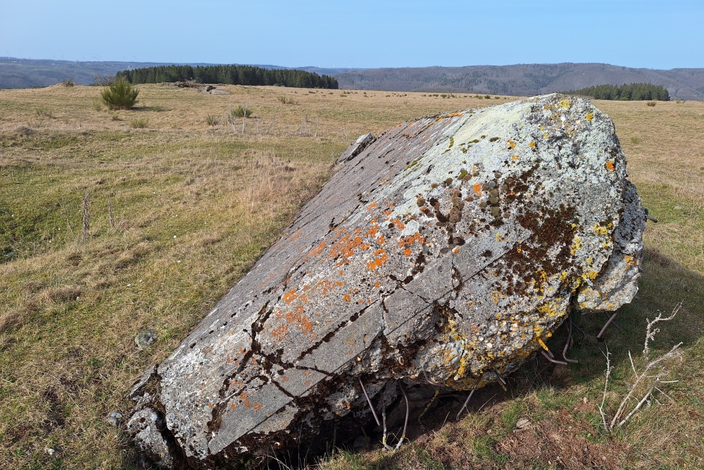 Igel position Vogelsang - Casemate Wollseifen #3