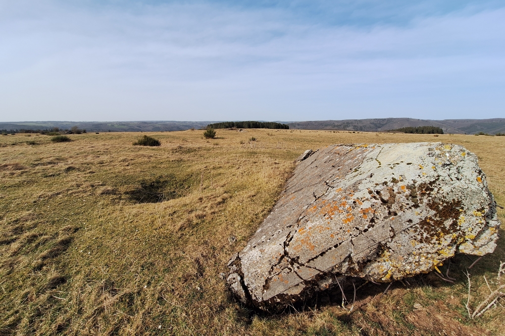 Igel position Vogelsang - Casemate Wollseifen #4