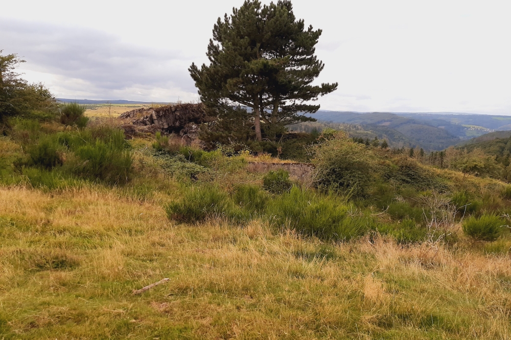 Igel position Vogelsang - Casemate Wollseifen