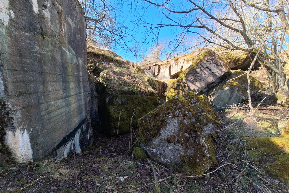 Remains Bunker Vogelsang #2