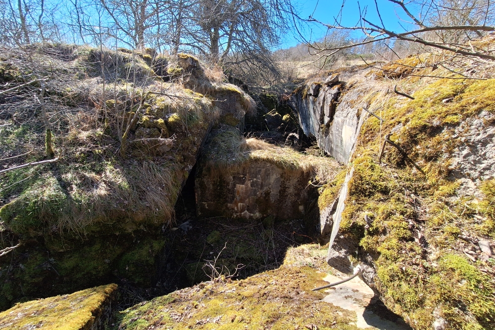 Remains Bunker Vogelsang #4