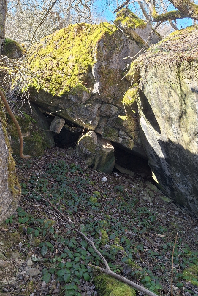 Remains Bunker Vogelsang #6