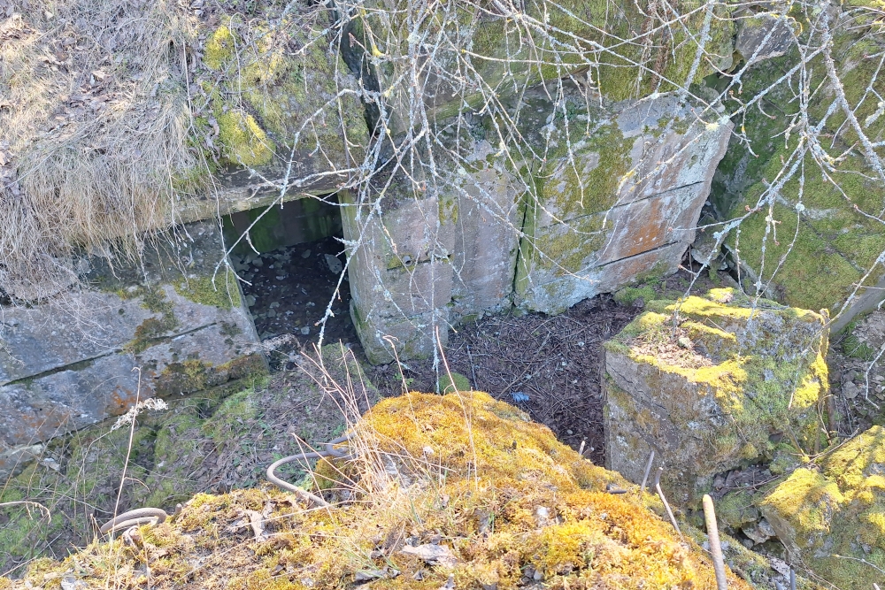 Remains Bunker Vogelsang #7