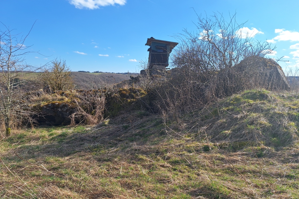 Restanten Bunker Vogelsang #8
