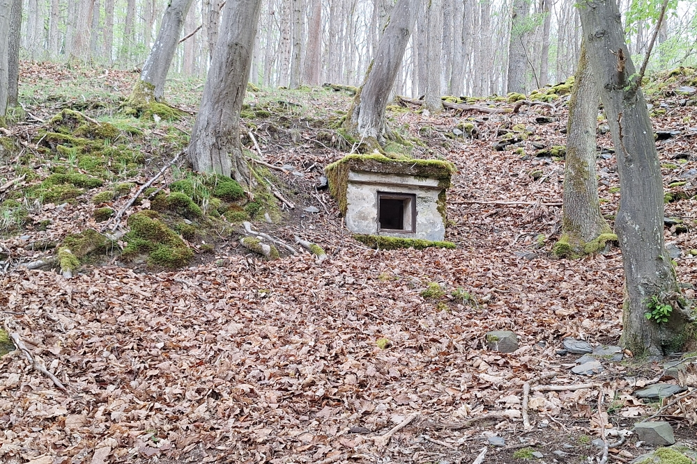 Bunker Section Gemünd #1