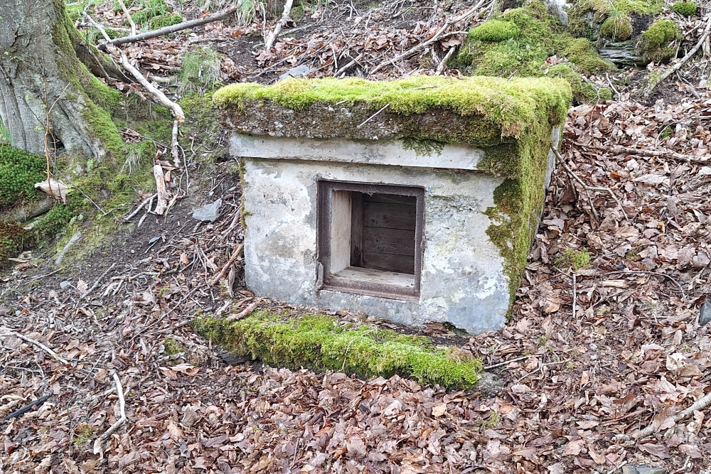 Bunker Section Gemünd #2