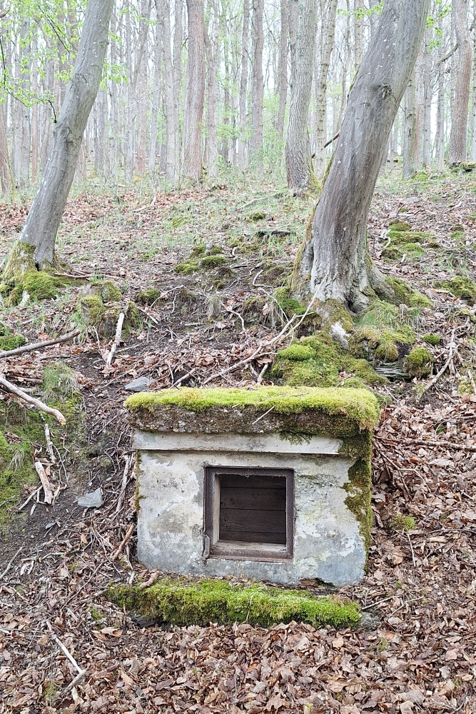 Bunker Section Gemünd #3