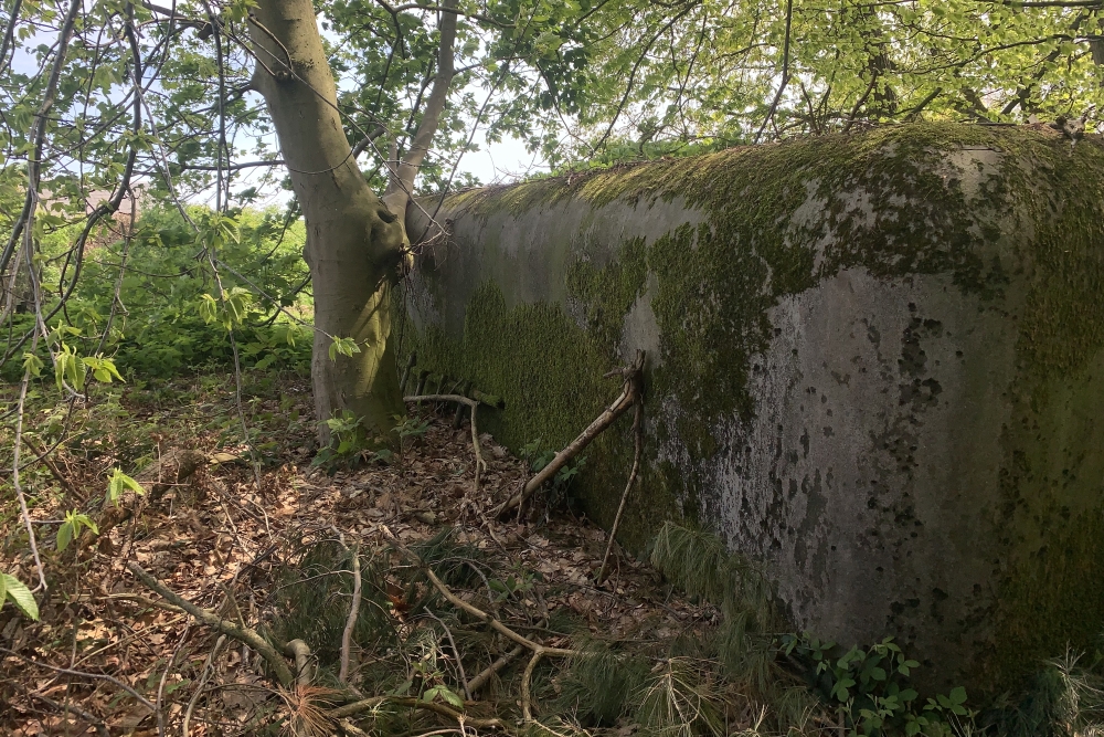 Bunker MN23 #3
