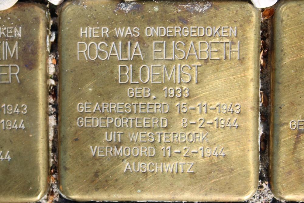 Stolpersteine Welgelegenlaan 23 #3