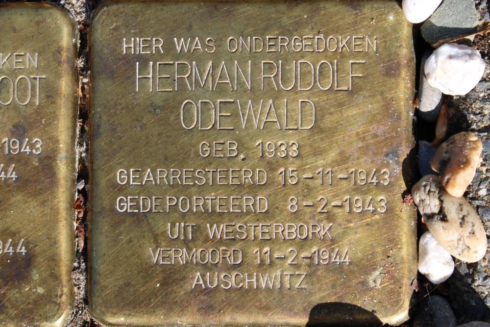 Stolpersteine Welgelegenlaan 23 #7