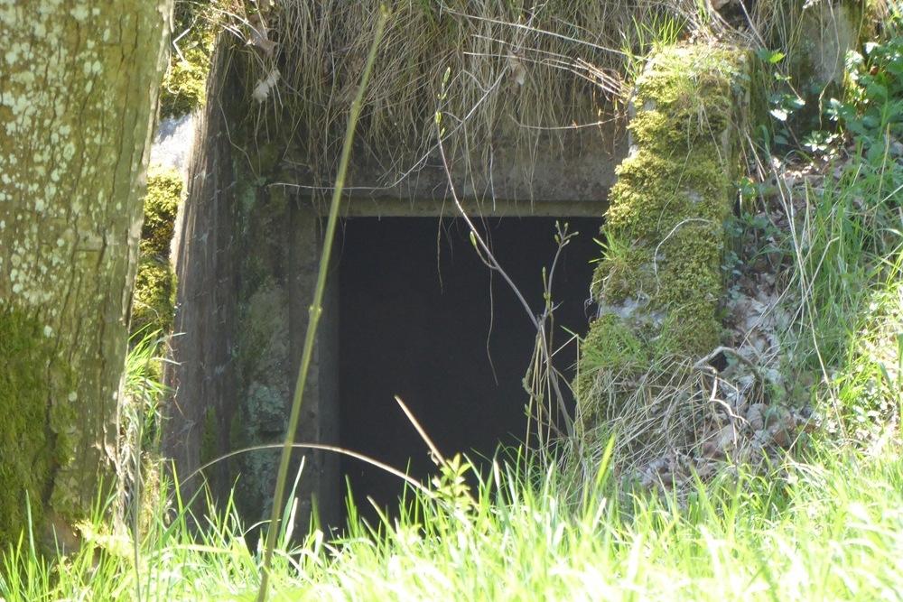 Belgische Bunker Wyompont #5