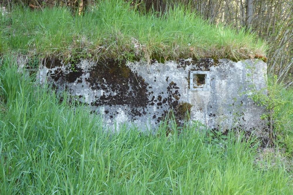 Belgian Bunker Tenneville #2