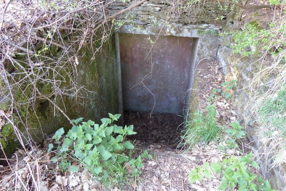 Belgian Bunker Tenneville #3
