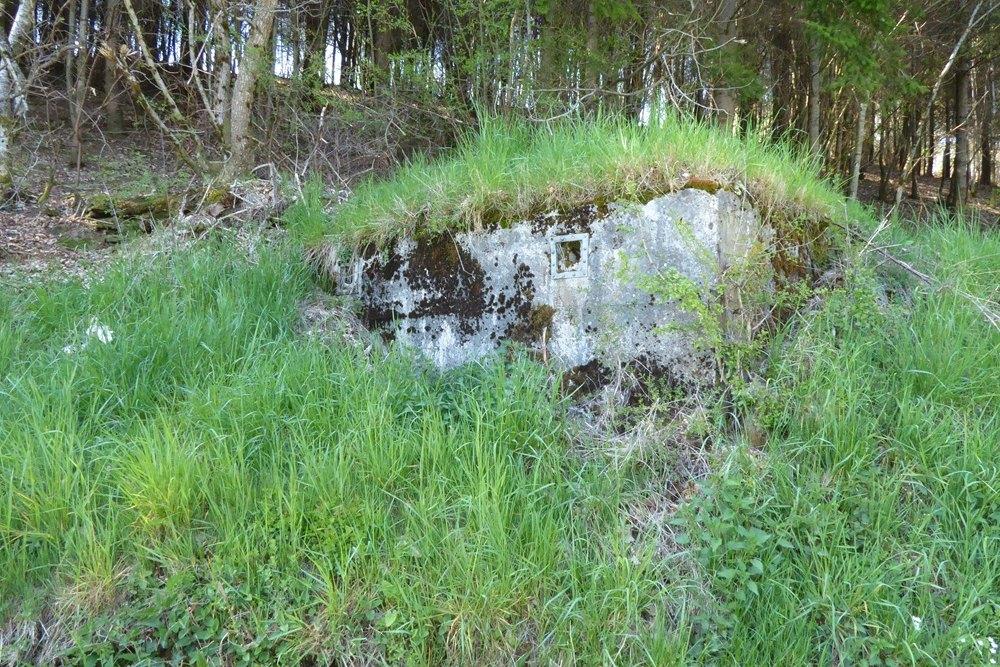 Belgian Bunker Tenneville #4