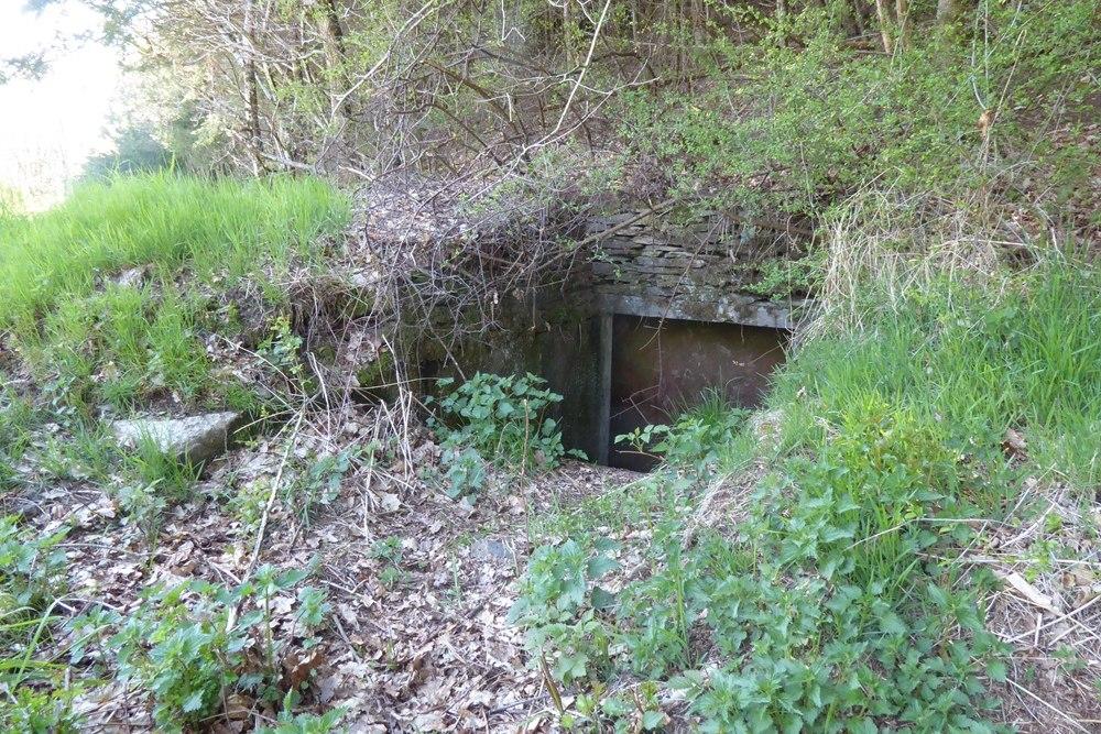 Belgian Bunker Tenneville #5