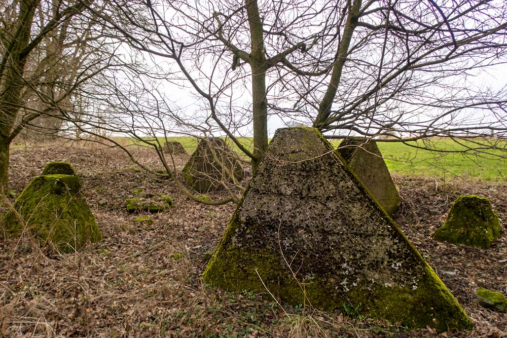 Westwall - Tankversperring Lichtenbusch #3