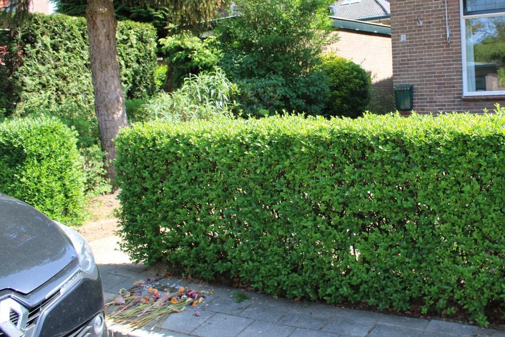Stolpersteine De Geer van Jutphaaslaan 1 #5