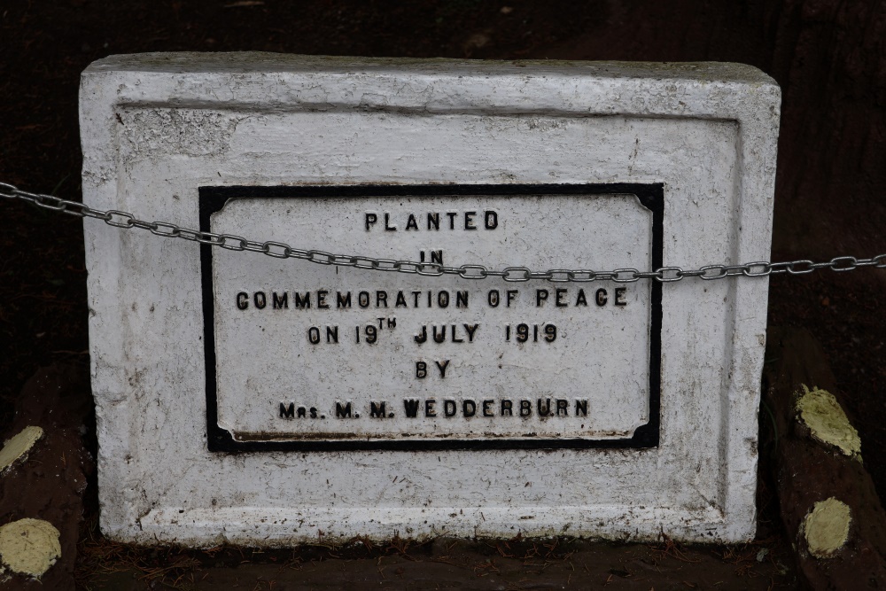 World Peace Tree Nuwara Eliya #2
