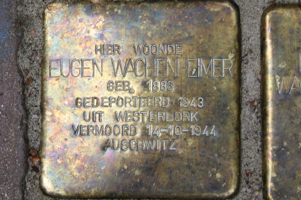 Stolpersteine Kaaplaan 3 #2