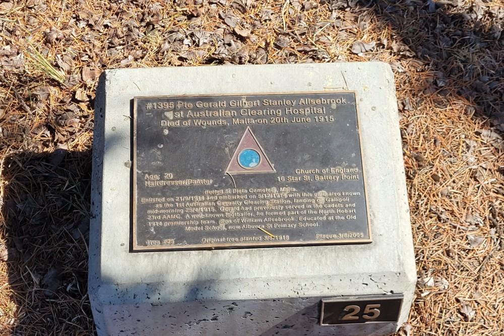Soldier's Memorial Avenue
