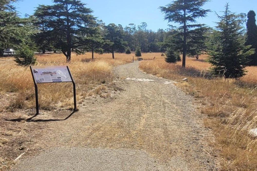 Soldier's Memorial Avenue #4