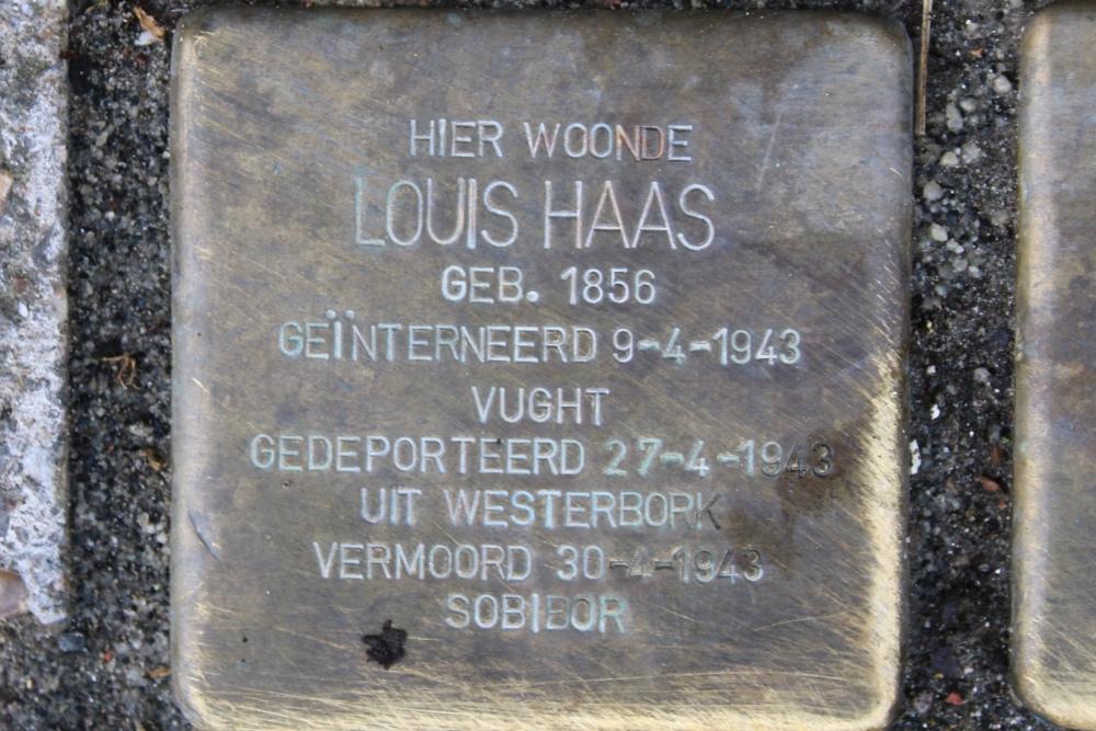 Stolpersteine Teteringenstraat 8 #2