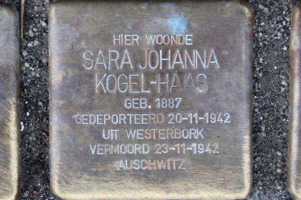 Stolpersteine Teteringenstraat 8 #3