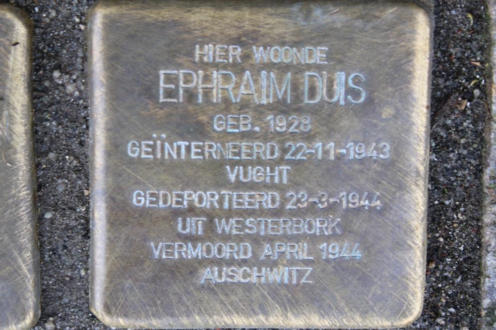 Stolpersteine Teteringenstraat 8 #7