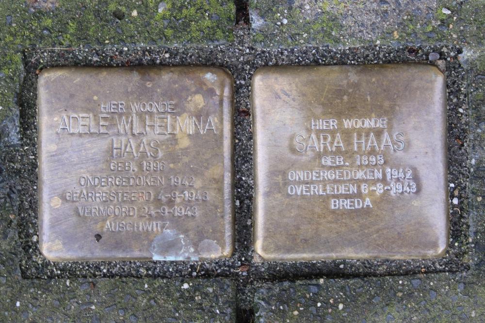 Stolpersteine Nieuwe Boschstraat 44